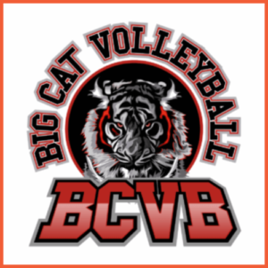 Big Cat Volleyball (IA)